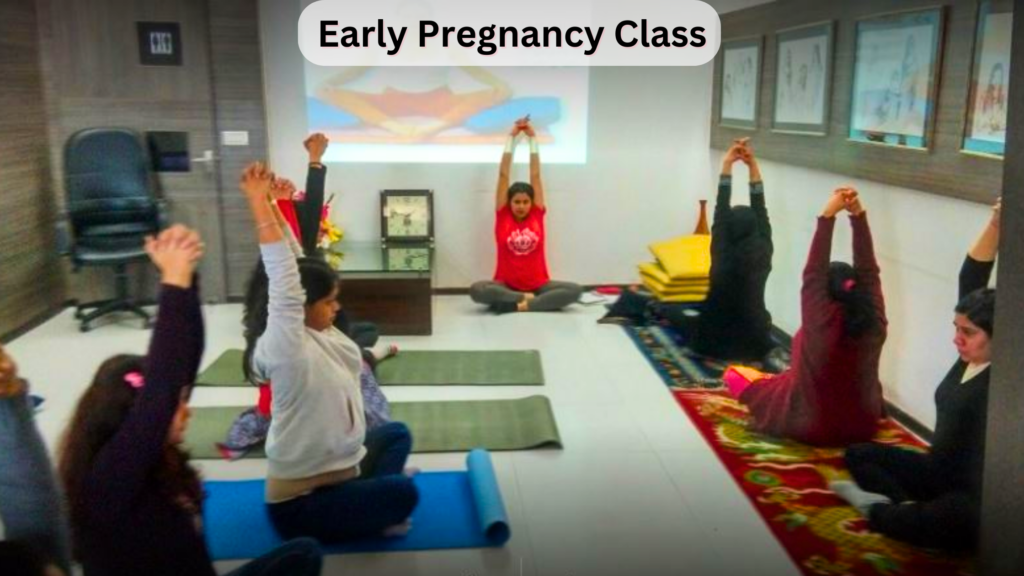 Pre Pregnancy Classes