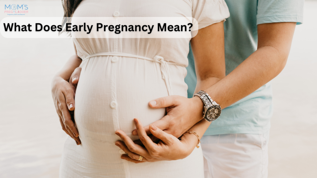 what does Pre Pregnancy mean