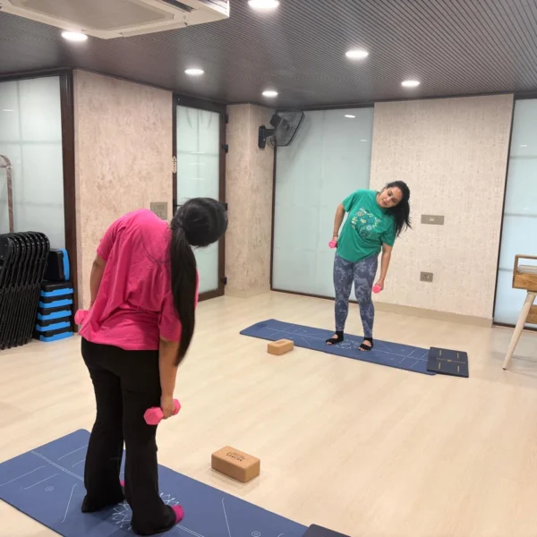 MomsPregLadder’s Online Pregnancy Yoga Classes