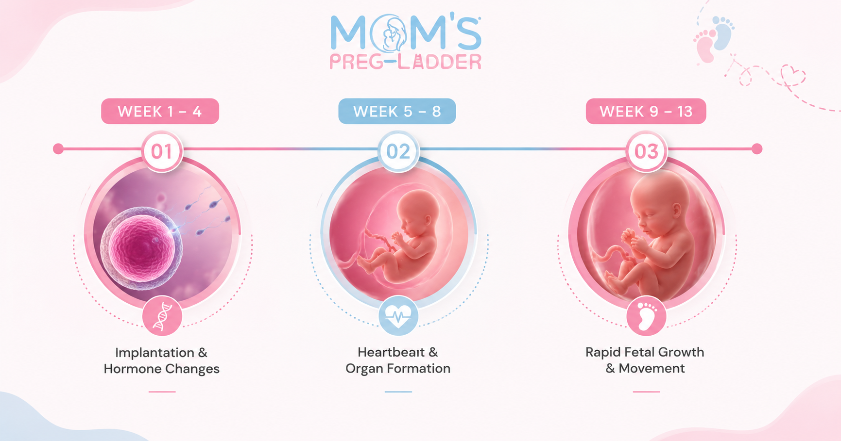 First trimester pregnancy timeline: Week 1–4 Implantation & Hormone Changes, Week 5–8 Heartbeat & Organ Formation, Week 9–13 Rapid Fetal Growth & Movement — Moms Preg Ladder